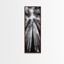 Redwood Forest, Sunlight Trees, Nature Canopy, Canvas Print, Serene Woodland Art, Cabin Wall Decor, Black and White Forest Art, Bedroom Wall Art