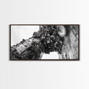 Coastal Texture, Tidepool Abstract, Modern Ocean Nature, Framed Canvas Print, Bathroom Wall Art, Marine Minimalist Photography