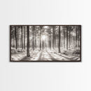 Winter Pine Forest, Sunlight Snow Trees, Nature Landscape Photography, Framed Canvas Print, Cabin Decor, Minimalist Wall Art