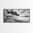 Tree Horizon, Curved Pine, Coastal Calm, Zen Scene, Canvas Print, Living Room Wall Art, Wabi Sabi Decor, Natural Minimal Aesthetic