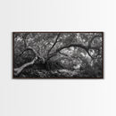 Mangrove Roots, Twisted Forest, Wild Nature, Moody Jungle, Framed Canvas Print, Rustic Living Room Art, Woodland Decor, Boho Vibes