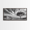 Coastal Tree Cliff, Ocean Breeze Scene, Scenic Nature Vibes, Framed Canvas Print, Boho Bedroom or Serene Living Room Wall Art