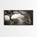 Ocean Cliff Path, Framed Trail Trees, Coastal Escape Scene, Framed Canvas Print, Boho Bedroom or Peaceful Hallway Wall Art, Entryway Accent