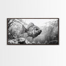 Underwater Fish, Nature Photography, Lake Life Scene, Freshwater Animal, Framed Canvas Print, Bathroom Wall Art, Minimalist Decor