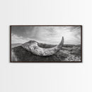 Driftwood Horn Curve, Coastal Nature Art, Whale Bone Decor, Beachside Minimalism, Canvas Print, Entryway Wall Art, Nautical Rustic Decor