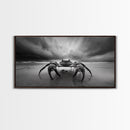 Fierce Crab, Coastal Storm, Ocean Mood, Dramatic Shore, Framed Canvas Print, Bathroom Wall Art, Beach House Decor, Marine Photography