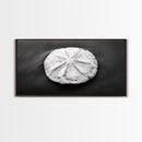 Sand Dollar, Beach Detail, Minimalist Sea, Calm Nature, Framed Canvas Print, Bathroom Wall Art, Coastal Boho Decor, Ocean Zen Style