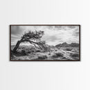 Twisted Tree, Desert Landscape, Surreal Nature, Canvas Print, Rustic Western Decor, Living Room Wall Art, Moody Earth Tones, Fall Aesthetic