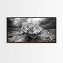 Coral Texture, Ocean Storm, Dramatic Sky, Sea Fossil, Framed Canvas Print, Coastal Nature Art, Fall Entryway Wall Decor, Cabin Wall Art