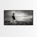 Sea Bird, Rocky Shore, Stormy Horizon, Coastal Watcher, Canvas Print, Nature Photography Art, Bedroom Decor, Ocean Wildlife