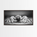 Hermit Crab, Close-Up, Ocean Creature, Monochrome Nature, Framed Canvas Print, Marine Wall Decor, Coastal Kitchen Wall Art, Entryway Accent