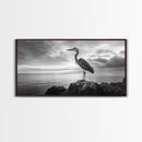 Heron Bird, Ocean Rock, Serene Wildlife, Canvas Print, Coastal Wall Art, Modern Farmhouse Decor, Minimalist Animal Scene