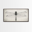Dragonfly Sketch, Insect Art Print, Botanical Illustration, Minimalist Natural History, Framed Canvas Print, Office or Study Wall Art
