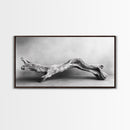 Driftwood Sculpture, Organic Modern Art, Natural Wood Texture, Neutral Decor, Framed Canvas Print, Bedroom or Living Room Wall Art