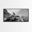Coastal Driftwood, Beach Landscape, Pebble Shore Scene, Natural Decor Accent, Canvas Print, Relaxed Vibe, Entryway or Den Wall Art