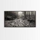 Forest Stream, Tranquil Woodland Path, Autumn Nature Photography, Framed Canvas Print, Rustic Cabin Decor, Living Room Wall Art