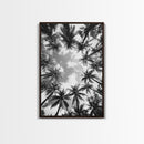 Palm Tree Sky, Tropical Canopy, Black and White Island View, Jungle Overhead Scene, Framed Canvas Print, Bathroom Wall Art, Beach Boho Decor
