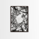 Forest Canopy View, Tree Tops Art, Nature Sky Print, Framed Canvas Print, Bedroom Wall Art, Minimalist Nature, Modern Rustic Decor