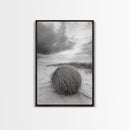 Tumbleweed Dune, Windy Coast, Desert Beach, Canvas Print, Boho Wall Art, Autumn Nature Decor, Minimalist Western Photography