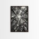 Tree Canopy, Forest Light, Upward View, Canvas Print, Woodland Wall Art, Living Room Decor, Nature Perspective Photography