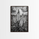 Lupine Flower Field, Bold Floral, Spring Nature Scene, Framed Canvas Print, Boho Living Room Art, Botanical Wall Decor