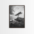 Lone Tree, Cliffside Ocean, Windy Coast Art, Framed Canvas Print, Bedroom Wall Art, Modern Nature Photography, Coastal Minimalist Decor