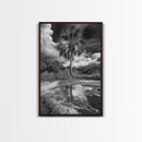 Tropical Palm, Reflected Sky, Nature Tranquility, Canvas Print, boho wall decor, bathroom art, tropical reflection photography