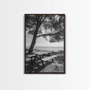 Seaside Bench, Peaceful Escape, Shaded Picnic, Canvas Print, nature photography, coastal wall art, relaxing ocean decor, Minimalist Decor