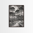 Forest Shadows, Tall Pines, Natural Light, Framed Canvas Print, woodland landscape, rustic cabin decor, autumn forest art