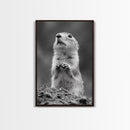Prairie Dog, Wildlife Watch, Nature Moment, Framed Canvas Print, Whimsical Animal Wall Art, Nursery Decor, Cute Forest Creature