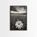 Wildflower Field, Daisy Bloom, Summer Meadow, Framed Canvas Print, Boho Botanical Wall Art, Bedroom Decor, Earthy Nature Photography
