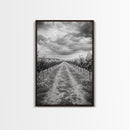 Vineyard Rows, Cloudy Skies, Countryside Path, Canvas Print, Farmhouse Wall Art, Kitchen or Dining Decor, Rustic Landscape Photo
