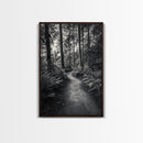 Fern Pathway, Enchanted Forest, Woodland Trail, Framed Canvas Print, Nature Walk Wall Art, Boho Bedroom Decor, Moody Landscape Style