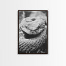 Rattlesnake Face, Coiled Closeup, Venomous Gaze, Canvas Print, Macro Wildlife Wall Art, Reptile Decor, Intense Black White Photography