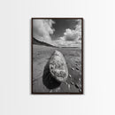 Whale Bone, Coastal Find, Ocean Relic, Framed Canvas Print, Seaside Wall Art, Beach House Decor, Nautical Minimalist Photography