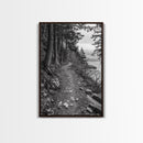 Forest Pathway Trail, Wilderness Escape, Rustic Nature, Black and White Framed Canvas Print, Cozy Cabin or Entryway Wall Art