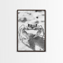 Sand Crab, Beach Macro, Ocean Critter Art, Framed Canvas Print, Coastal Bathroom Decor, Beach House Wall Art, Nature Close-Up