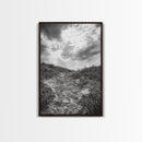 Sandy Trail, Ocean Path, Windy Grass, Moody Sky, Framed Canvas Print, coastal nature photography, hallway decor, rustic neutral art