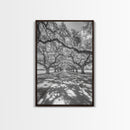 Oak Tree Tunnel, Southern Charm, Shaded Pathway, Timeless Trees Framed Canvas Print, farmhouse wall decor, hallway landscape art