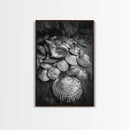 Seashell Pile, Textured Beach, Coastal Treasures, Natural Beauty Framed Canvas Print, bathroom decor, shell art, beach wall style
