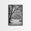 Snowfall Trees, Winter Forest, Nature Pathway, Canvas Print, Holiday Season Decor, Cozy Living Room or Cabin Wall Art