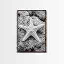 Starfish Closeup, Coastal Shell, Beach Texture, Framed Canvas Print, Bathroom or Ocean Nursery Decor, Minimal Beach Art