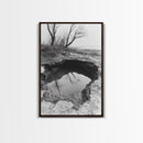 Reflected Trees Pool, Black White Nature, Moody Autumn Wall Art, Rustic Minimalist Style, Framed Canvas Print, Entryway Home Decor
