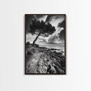 Wind Bent Tree, Coastal Cliff, Solitary Beauty, Canvas Print, Nature Photography Wall Art, Minimalist Earthy Decor, Moody Landscape