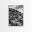Hillside Forest, Peaceful Pines, Mountain Light, Framed Canvas Print, Nature Wall Art, Cabin Decor, Woodland Landscape Scene