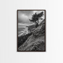Lone Tree, Ocean Bluff, Windy Coastline, Canvas Print, Coastal Landscape Wall Art, Moody Nature Decor, Minimalist Vibe, Coastal Wall Art