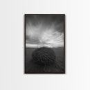 Twilight Field Nest, Tumbleweed Art, Desert Calm, Grassy Plains, Framed Canvas Print, Entryway Wall Art, Boho Nature Landscape