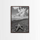 Starfish on Shore, Rocky Beach Scene, Cloudy Sky Horizon, Ocean Calm, Framed Canvas Print, Coastal Art, Bathroom Wall Decor