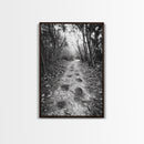 Forest Trail Path, Woodland Escape, Nature Walk, Adventure Art, Framed Canvas Print, Office Wall Decor, Autumn Vibes, Rustic Nature Style