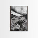 Desert Storm, Cactus Scene, Black White Art, Canvas Print, Southwest Wall Art, Earthy Tones Decor, Boho Style, Entryway Wall Accent